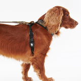 Barbour Dog Harness In Classic Tartan