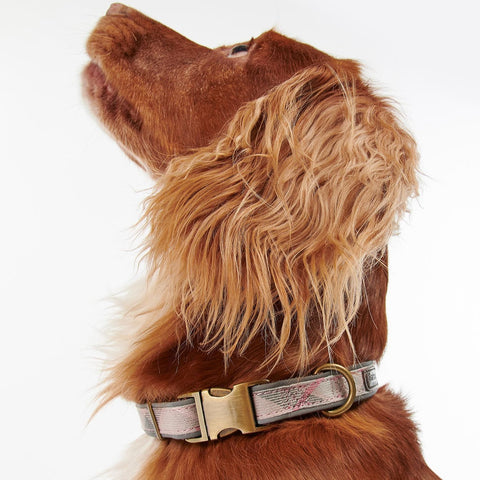 Barbour Reflective Dog Collar in Taupe/Pink Tartan