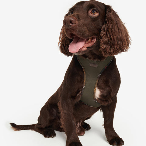 Barbour Comfort Dog Harness in Tartan/Olive