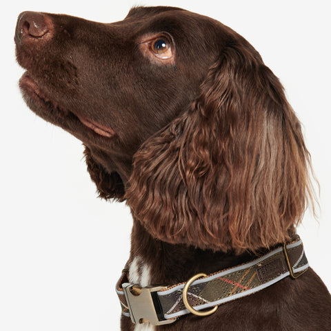 Barbour Reflective Dog Collar in Classic Tartan