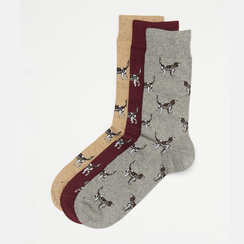 Barbour Men's Pointer Dog Socks Gift Box in Winter Red
