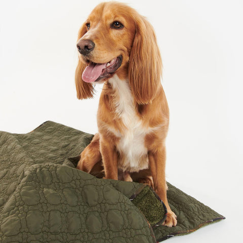 Barbour - Dog Bone Quilted Blanket in Dark Olive