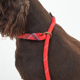 Barbour Reflective Slip Dog Lead in Red