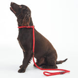Barbour Reflective Slip Dog Lead in Red