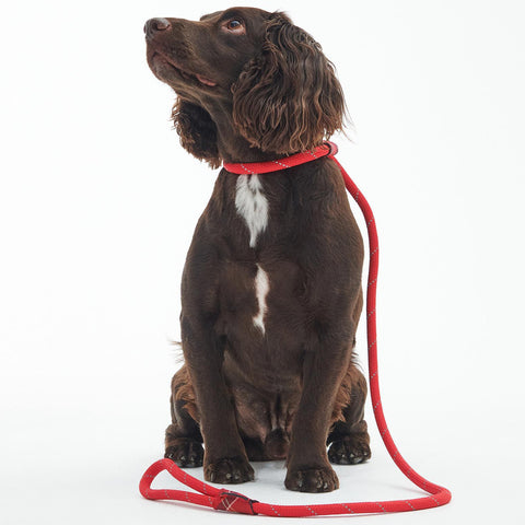 Barbour - Reflective Slip Dog Lead in Red
