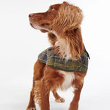 Barbour Quilted Dog Coat in Classic Tartan