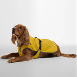 Barbour Evie Waterproof Dog Coat in Limeade