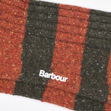Barbour Men's Houghton Stripe Socks in Burnt Orange