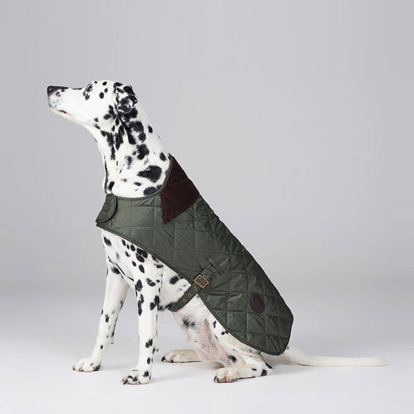 Barbour - Quilted Dog Coat in Olive - Dog Coat - Sinclairs Online - 2