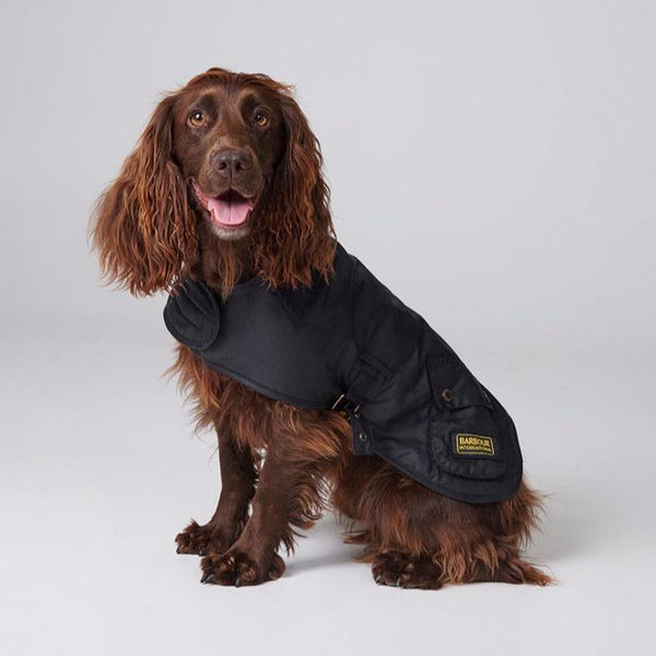 Barbour - International Dog Coat in Black