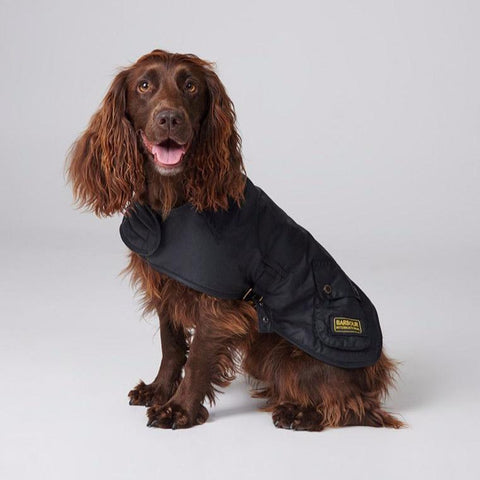 Barbour International Dog Coat in Black